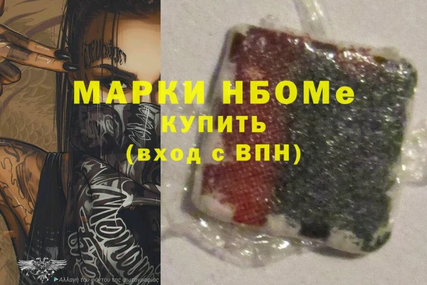 ECSTASY Алзамай