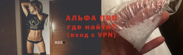 ECSTASY Алзамай
