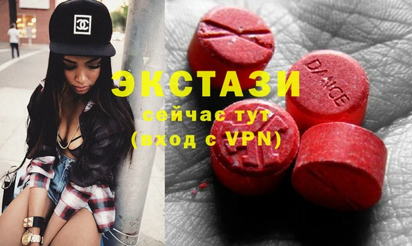 ECSTASY Алзамай