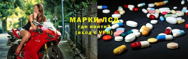 ECSTASY Алзамай