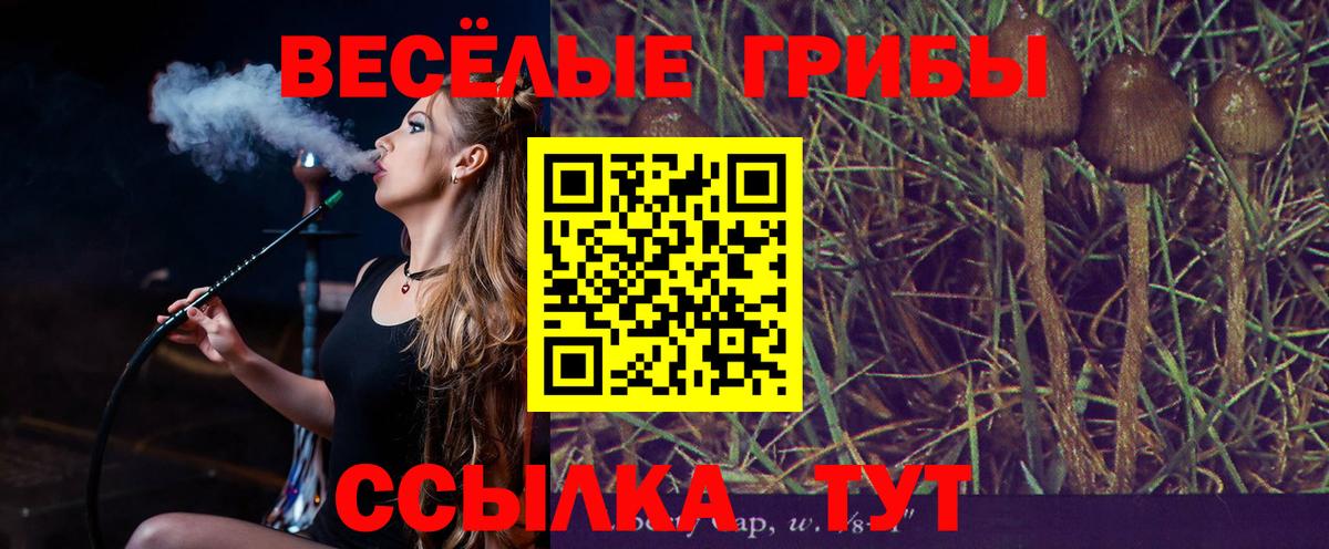 Галлюциногенные грибы Magic Shrooms Тихвин
