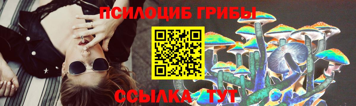 Тихвин  Псилоцибиновые грибы Psilocybe  наркошоп  Вход с VPN 